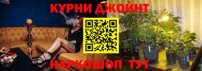 крисы Краснодар