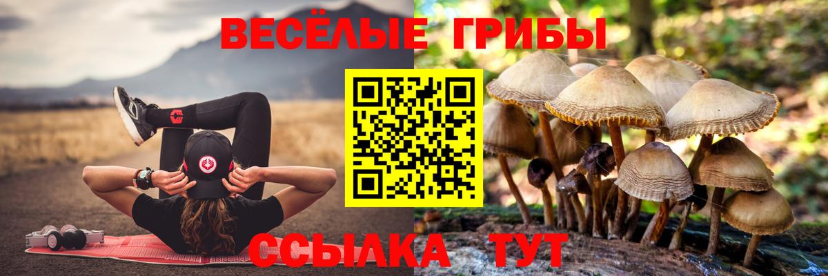 Елабуга  Галлюциногенные грибы мицелий  Вход с VPN 