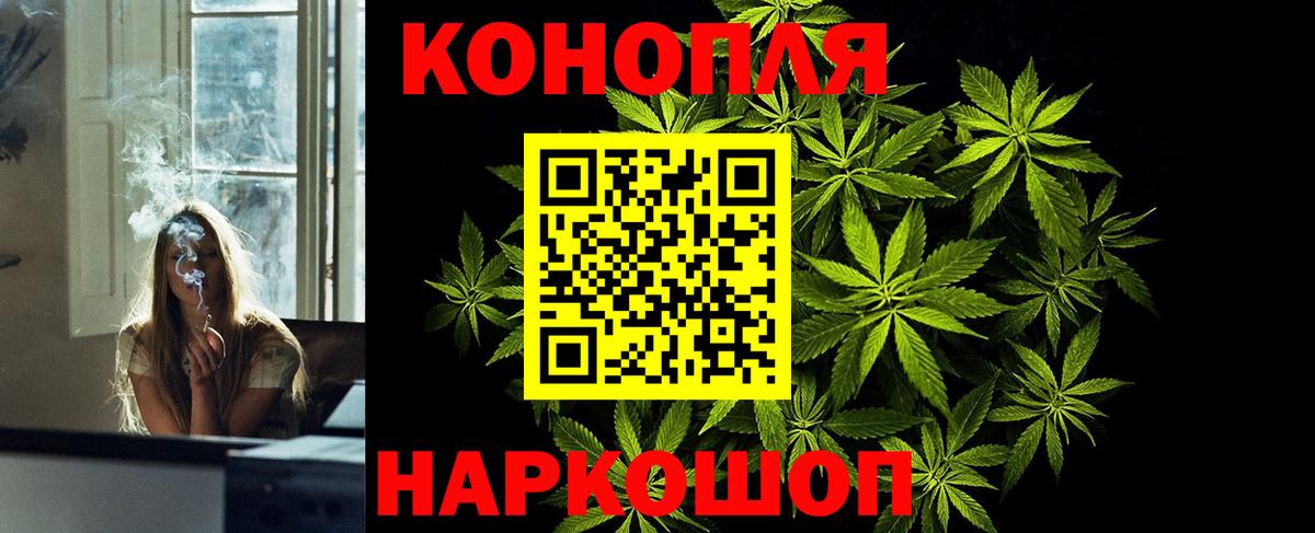 Каннабис сатива  Конопля сатива  Шишки марихуана ГИДРОПОН  Елабуга  Бошки Шишки планчик  Вход с VPN 